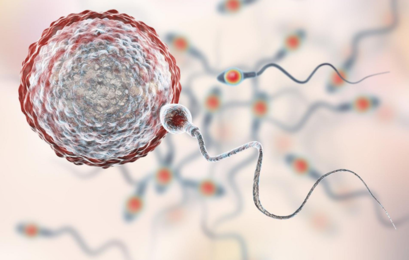 国内可以做供卵的医，国内哪个医院可以做供卵