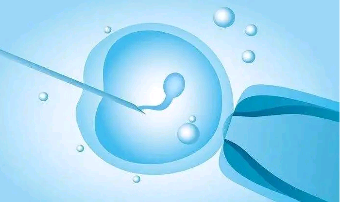 <b>吉林辅助代孕网,吉林省供卵试管医院排名[吉林省做供卵试管成功率一览]</b>