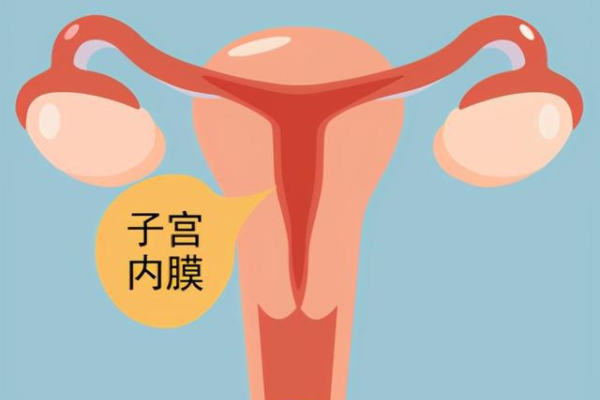 上海哪家助孕机构比较好，咨询南方39助孕了解更多助孕知识。