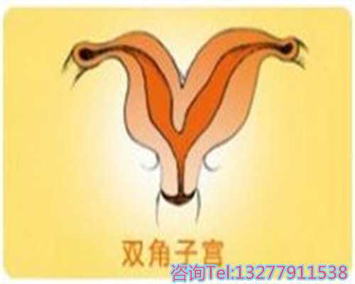 怀孕前壁和后壁看男女准吗？怀孕前壁和后壁看男女有科学依据吗？