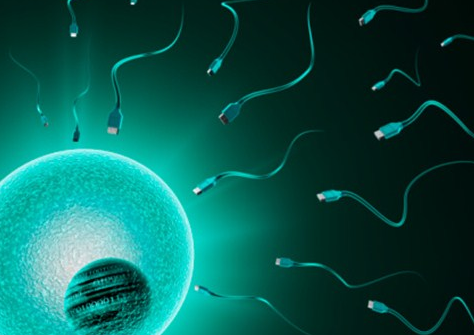 吉林公司代怀产子,吉林大学第一医院三代供卵试管费用一览，吉林的冻卵费用