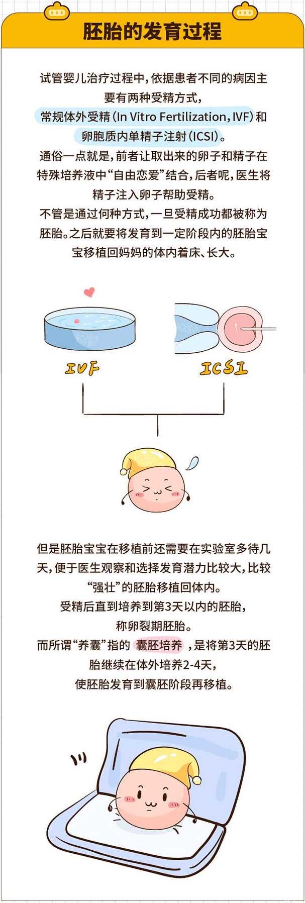 二代试管胚胎发育慢_第三代试管婴儿移植_试管婴儿到底要不要养囊?胚胎的发育