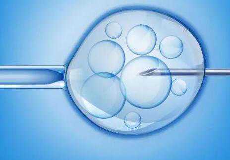 二代试管胚胎发育慢_第三代试管婴儿移植_试管婴儿好孕双胞胎怎样才能预防早