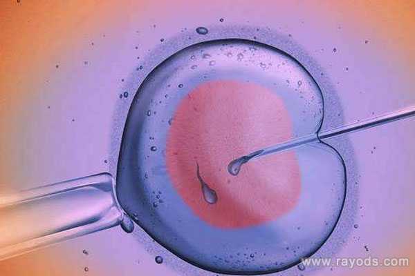 三代试管胚胎筛查流程_二代试管移植鲜胚_做试管的短方案，请问成功率多少啊