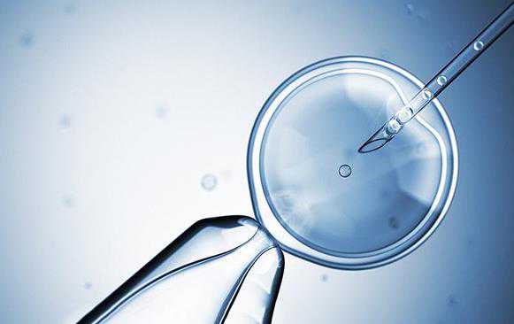 人工授精和试管哪个可以选择性别_试管婴儿借卵_6细胞2级的胚胎质量很差吗？